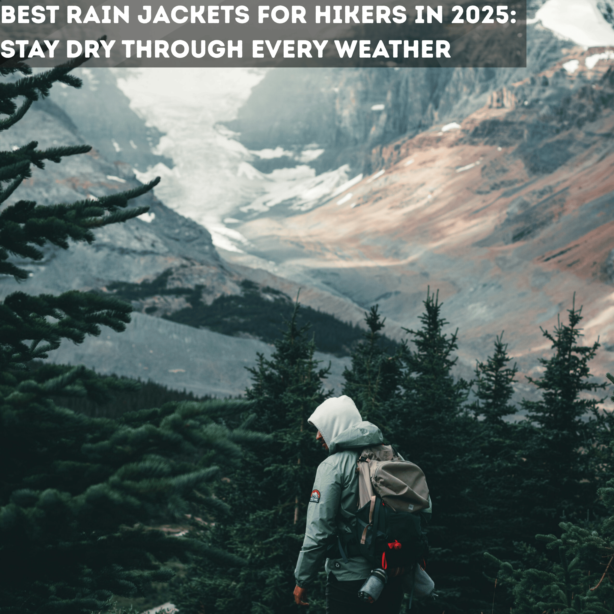 A man in hiking jacket in the wilderness with trees and mountains