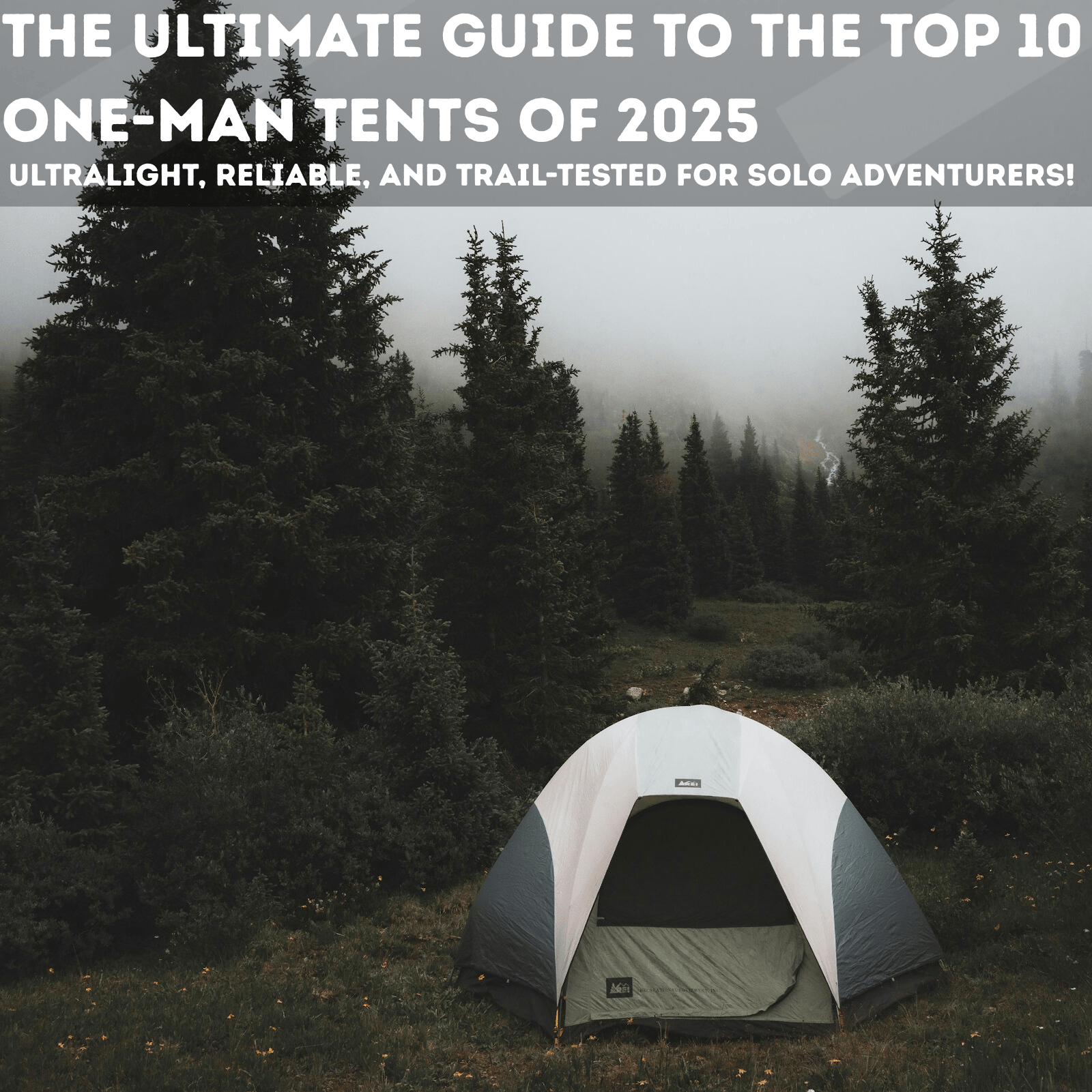 Solo Tent in the forest 